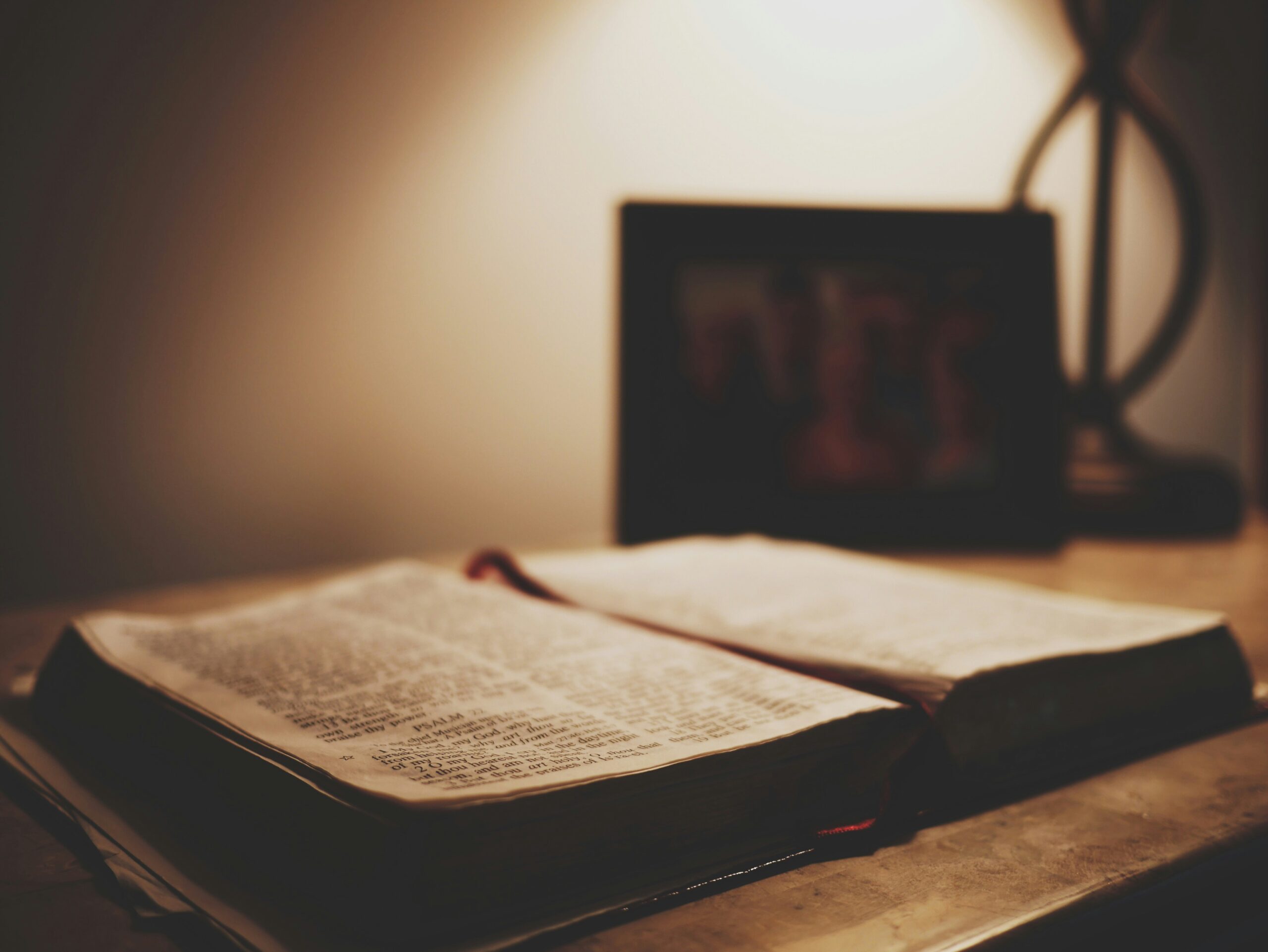 aaron-burden-H8s0PF2rcQs-unsplash